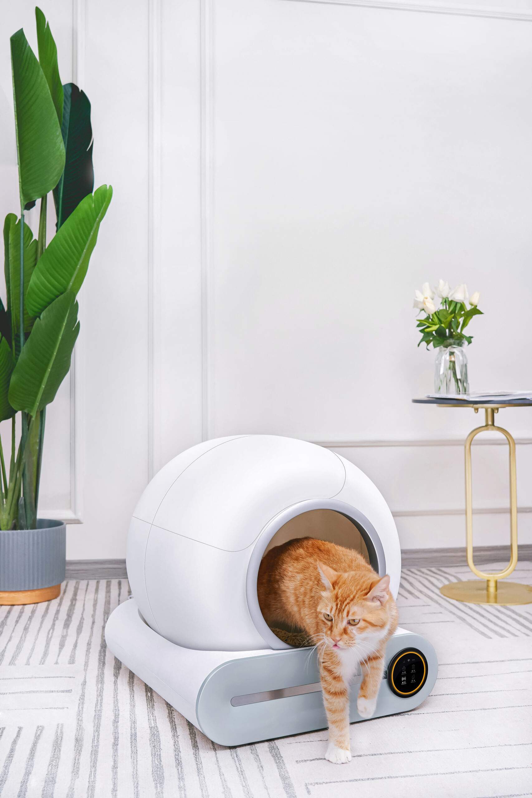 auto Snowy Cat Auto litter box - AerospacePet