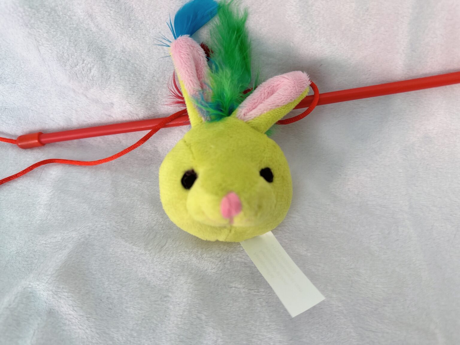 Zoo mini bunny aerospacepet